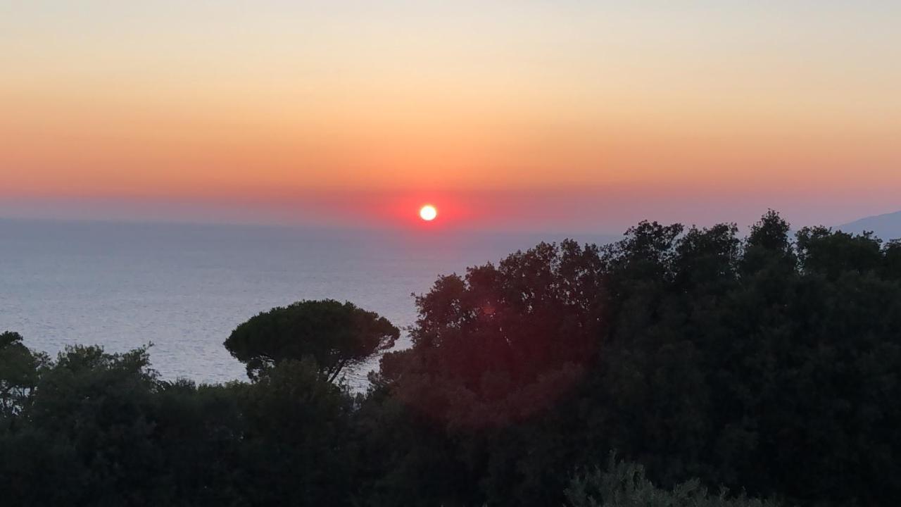 La Draghina B&B Capri Анакапри Экстерьер фото